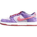 NIKE DUNK x PLUM